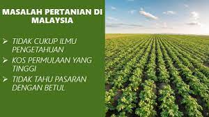 Pada tahun 1970, hampir 30 peratus. Sjm Desa Enterprise Publications Facebook