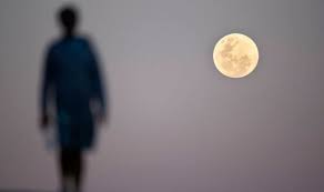 If your moon sign is in cancer, your deepest emotions take on the qualities of the cancer sun sign. Buck Moon Horoscope What Does Tonight S Full Moon Mean For You Express Co Uk