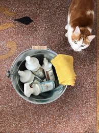 Fra i principali strumenti da avere a portata di nella nostra guida su come pulire la casa velocemente e bene non poteva certo mancare il soggiorno. Come Pulire Casa In Poco Tempo