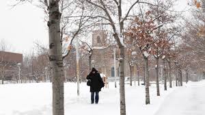 Six to 12in of snow are expected in denver, three feet to fall in the rockies. The Truth About Winter In Denver Red Relevant Essential Denver