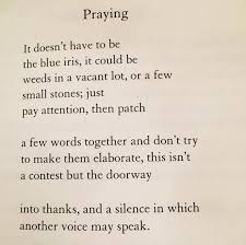 Blue Iris Poem Mary Oliver Google Search Mary Oliver Poems Pretty Words Mary Oliver Quotes