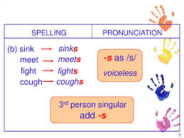 This means in detail that it describes general truths, habits, repetitive actions, perceptions (especially of the senses) that are taking place at the moment or that apply now. Form And Basic Meaning Of The Simple Present Tense Online Presentation