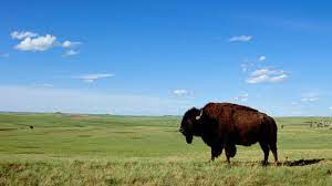 Find what to do today or anytime in july. North Dakota History