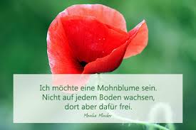 Lebensweisheiten können uns auch zum nachdenken anregen. Lebensweisheiten Freiheit Gedanken Kurze
