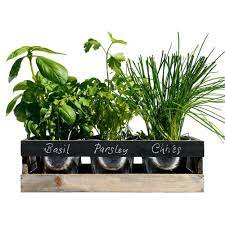 Viridescent Indoor Herb Garden Kit Kitchen Wooden Windowsill Planter Box With Herb Seeds Best Xmas Gift Idea On Onbuy