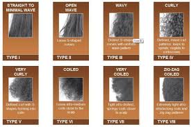 Hair Type Guide Whats Your Hair Type Black Hair Types