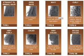 hair type guide whats your hair type black hair types