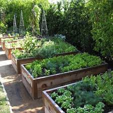 How to raised bed vegetable garden. Advice For Raised Bed Vegetable Growers