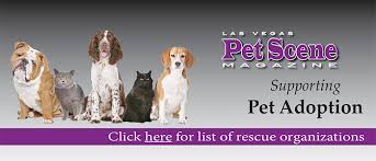 Visit us at 6980 n 5th st. Las Vegas Pet Scene Magazine