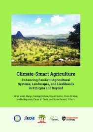 Image result for Nile Green 1964 GM