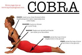 Cobra 1000 667 Cobra Pose Yoga Tips Poses