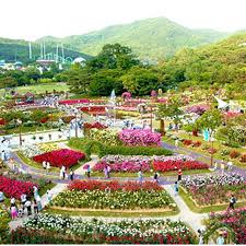 Deretan pelangi itulah yang menjadi spot favorit para pengunjung. Yuk Jalan Jalan Diantara Ribuan Mawar Di Korea Lifestyle Liputan6 Com