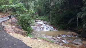 Check spelling or type a new query. Mohd Faiz Bin Abdul Manan Hutan Lipur Papan