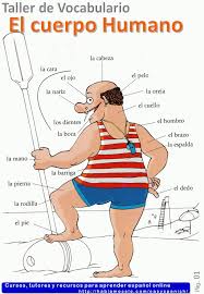 Pin On Espanol