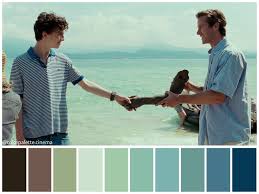 Call Me By Your Name Movie Color Palette Cinema Colours Color In Film