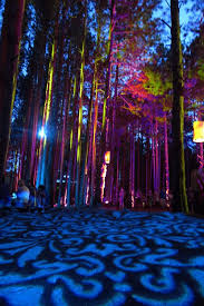 Mesmerizing Electric Forest Festival Forest Light Electric Forest