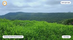 Sanjay Gandhi National Park | Sanjay ...