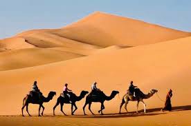 Your 45 minutes long ride. Morning Red Dune Desert Safari With Camel Ride And Sandboarding From Dubai Outdoortrip