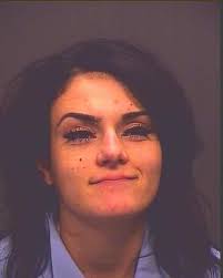 2 arrested in break-ins of vehicles, houses