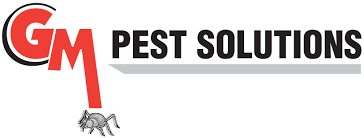 For pest problems on your property, please contact a licensed wasp nests build up in numbers over spring and summer, reaching their maximum in autumn. Pest Control
