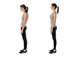 Image result for Posture