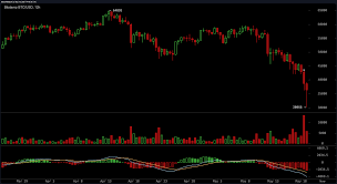 Why is bitcoin going down / up? Bitcoin Is Dead Crypto Market Carnage Invokes Haters And Btc Obituaries Bitcoin News