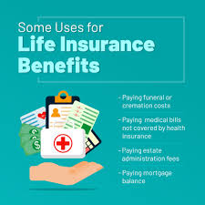 Some Uses For Life Insurance Benefits Lifeinsurance Brianfreezehealthandlifeinsuran Life Insurance Marketing Affordable Health Insurance Insurance Marketing