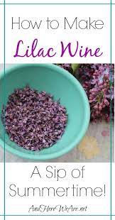 Making Lilac Wine And Here We Are Homemade Wine Homemade Wine Recipes Wine Recipes