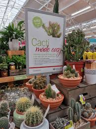 Sign Stand A5 A4 A3 Fixed Height Models Garden Centre Pos Retail Signage Plants Garden Center Displays Plant Signs Garden Center