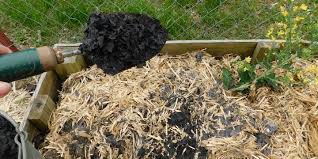 Are charcoal ashes good for your garden. How To Use Ash In The Garden