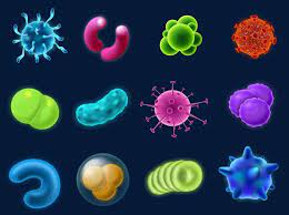Alcuni virus invece non provocano cambiamenti apparenti alla cellula infettata. Le Grandissime Differenze Fra I Virus E I Batteri Utili Per Capire Meglio Il Covid 19 Corriere It