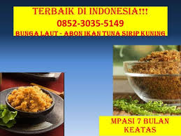 Terbaik Di Klaten 0852 3035 5149 Mpasi 6 Bulan Pertama Klaten Salmon Tuna Ikan