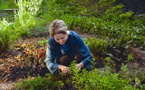 Want To Garden Like Alice Waters Then Put In A Night Shift