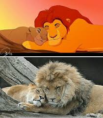 Pin De Didem Cetinagac Em Disney Rei Leao Disney Rei Leao Desenho Rei Leao