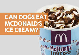 Can Dogs Eat Mcdonald S Ice Cream Soft Serve What Happens