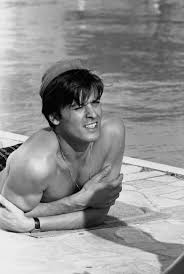 Photogriffon Les Plus Belles Photos D Alain Delon Star Mondiale