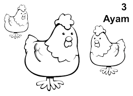 Gambar berikut adalah gambar unggas, yaitu ayam, gambarnya sangat sederhana dan mudah untuk diwarnai. Gambar Mewarnai Hewan Binatang Gambar Hitam Putih Iqna