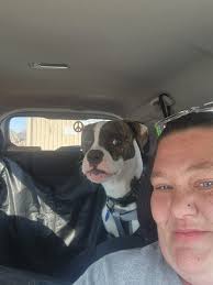 Absolutely 💯 true😍🐾 =From: https://aholala.com/anatomy-of-a-boxer