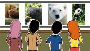 Rang Taxonomique | Activités de Classification Taxonomique