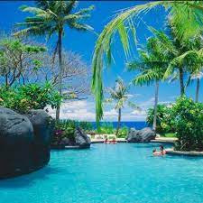 Look up the english to spanish translation of paradise in the pons online dictionary. 61 Free Spanish Pop Music Playlists 8tracks Radio