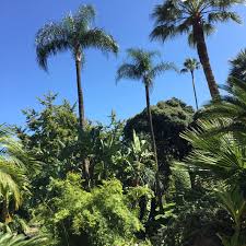 Les Jardins De La Petite Afrique Gardens Montecarlo Montecarlocasino Monaco Greenexplosion Africa Littleafrica Travel Guides French Riviera Riviera