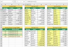 Fungsi Sort Rumus Excel Untuk Mengurutkan Data Di Excel Di 2020 Jenis Melon
