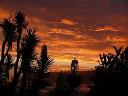 Der Wunderschone Sonnenuntergang Abends Beim Grillen Im Garten Picture Of Haus Am Strand On The Beach Wilderness Tripadvisor