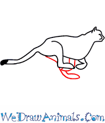Check spelling or type a new query. How To Draw A Cheetah