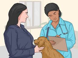 No doubt about it, you love their wagging tails, their licks on your chicks and those long stares that come from their puppy. How To Get Dog Hair Off Furniture 11 Steps With Pictures