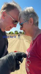 Experience Unique Falconry and Wine in Paso Robles