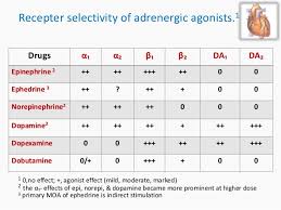 Inotropes And Their Choice