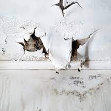 Check spelling or type a new query. Degats Des Eaux Au Plafond Comment Faire Declarer Le Sinistre