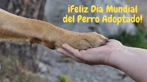 Dia internacional del perro adoptado. Dia Mundial Del Perro Adoptado Refugio Provincial De Animales