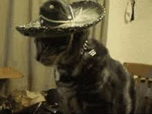 Explore and share the latest mememe pictures, gifs, memes, images, and photos on imgur. Spanish Gifs Tenor